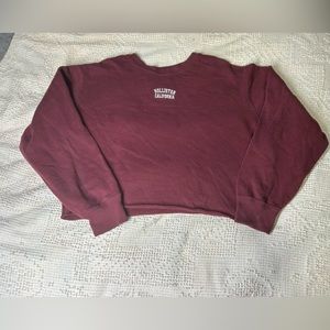 Hollister classic, women’s medium sweatshirt